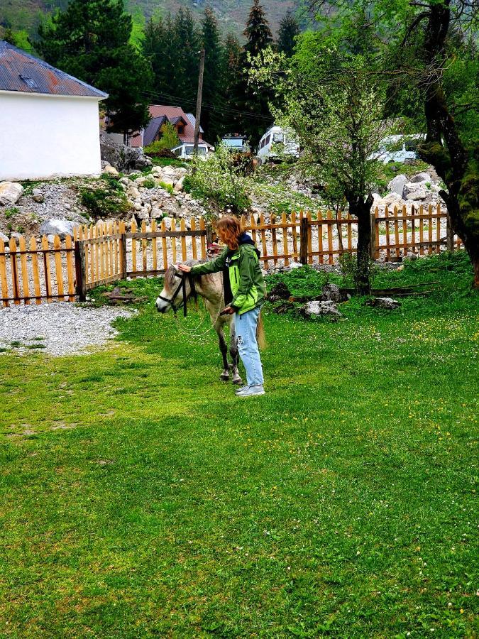 Bujtina 2 Hotel Valbone Exterior photo